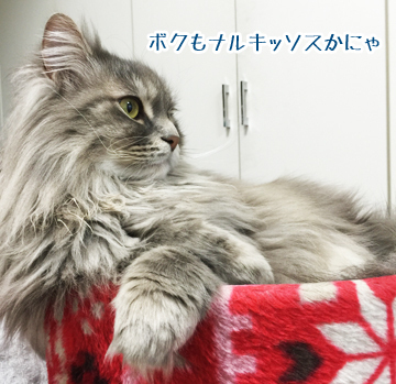 だねーw