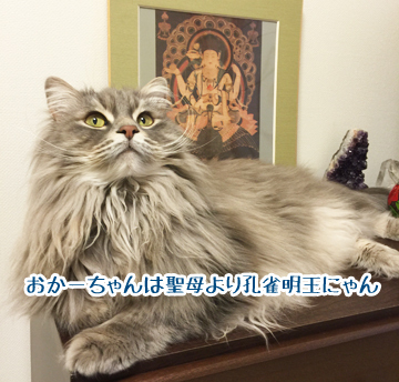 あおくん