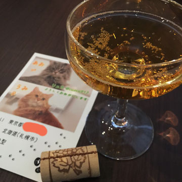 乾杯用