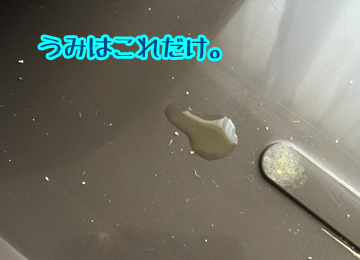 うみはこれだけ