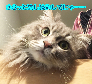 あおくん