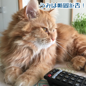 ネコそれぞれ