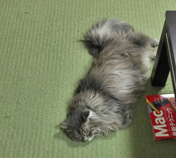 あお