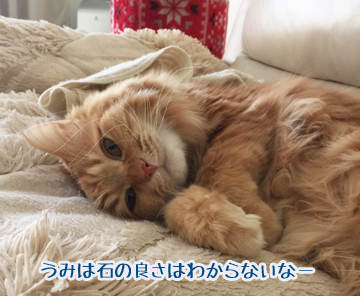 うみちゃんw