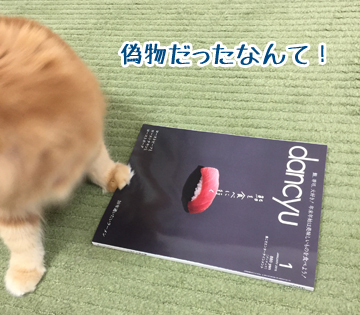 だまされた
