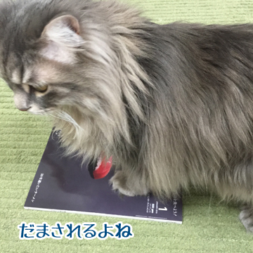 ちょっとわらったw