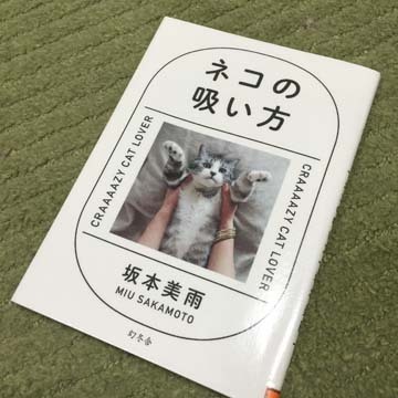 いいでしょう