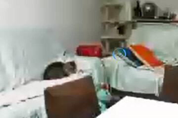 画質は悪い