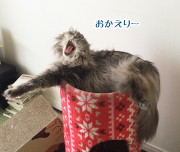 おかえり