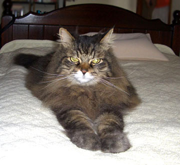 20070430.jpg