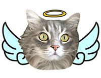 AOangel01.jpg
