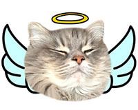 AOangel03.jpg