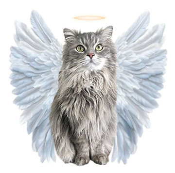 AOangel2.JPG