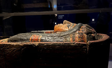 IMG_2607.JPG