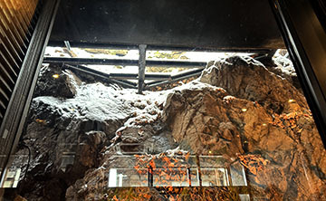 IMG_2749.JPG