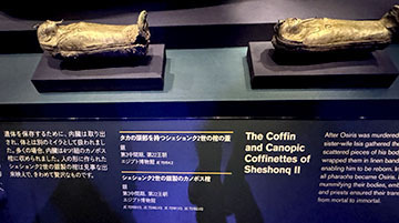 IMG_3417.JPG