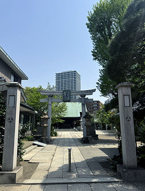 IMG_4646.JPG
