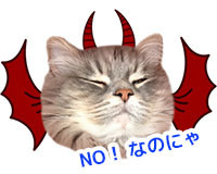 aoao.jpg